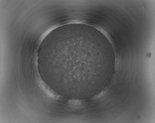X0000112831051200908211212