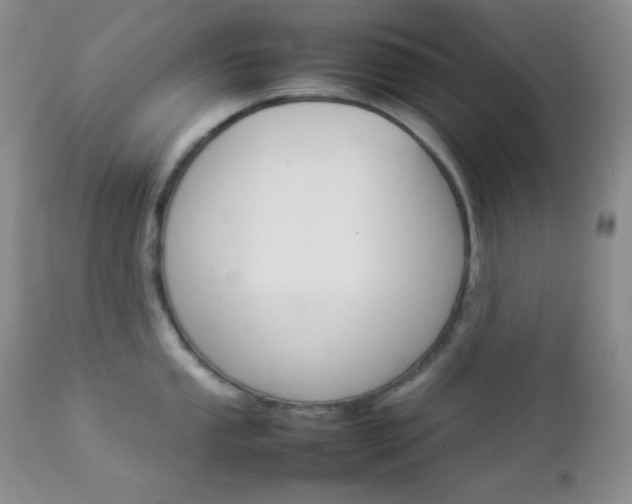 X0000112831053200908211212