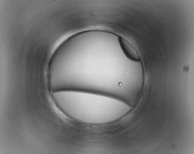 X0000112831054200908211212