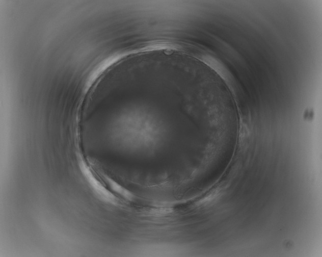 X0000112831055200908211212