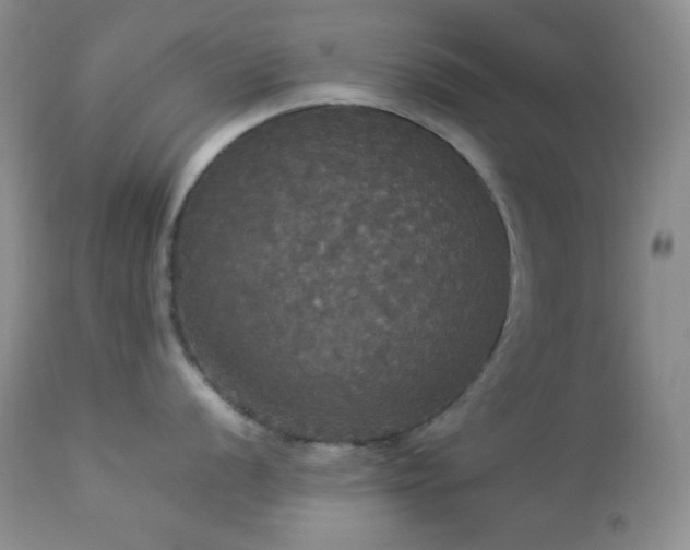 X0000112831056200908211212