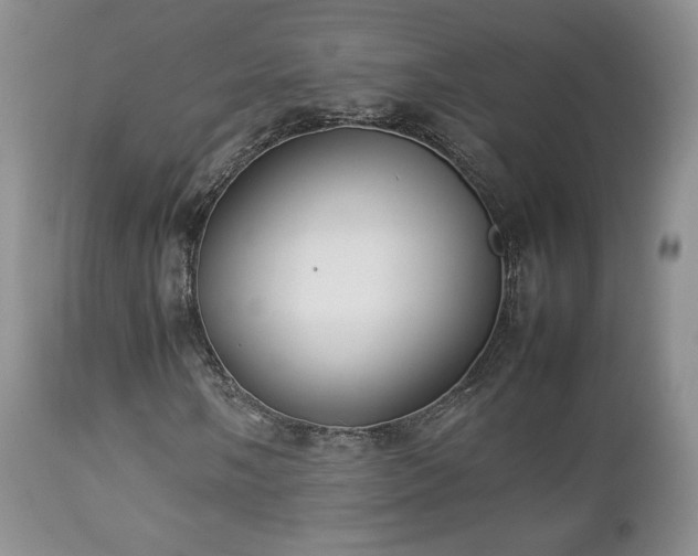 X0000112831058200908211211
