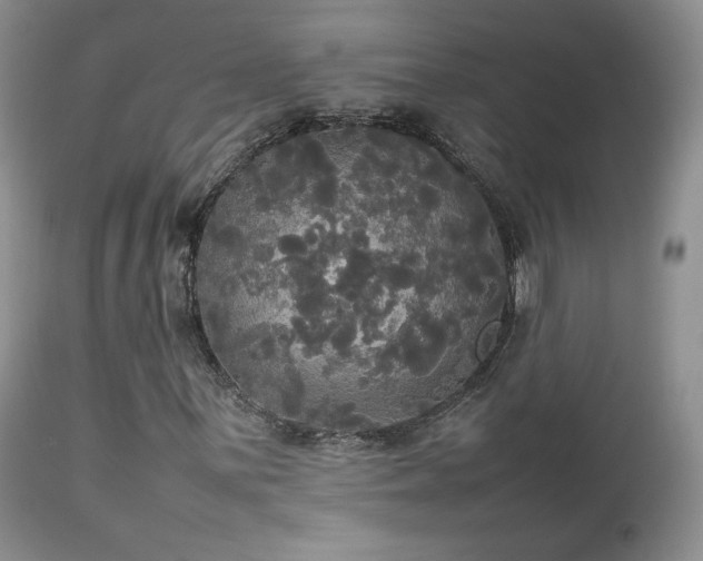 X0000112831059200908211211