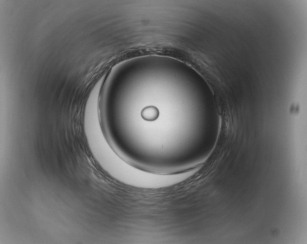 X0000112831060200908211211