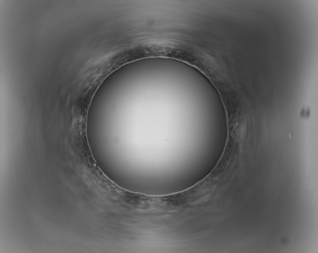 X0000112831061200908211211