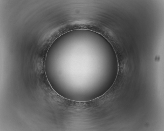 X0000112831062200908211211