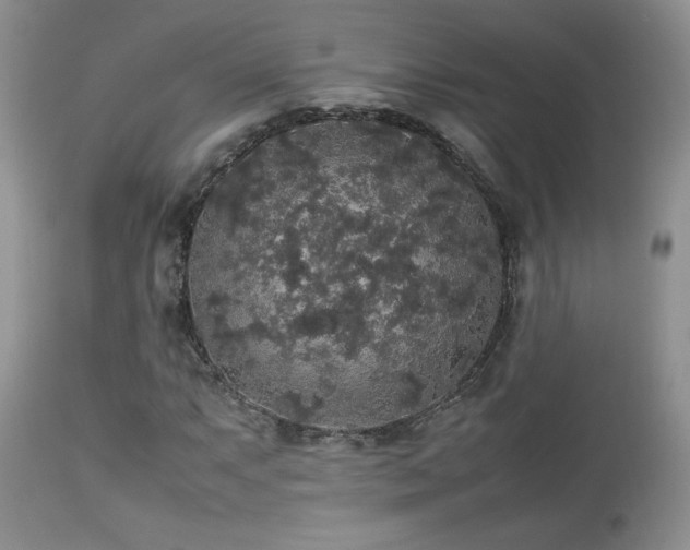 X0000112831063200908211211