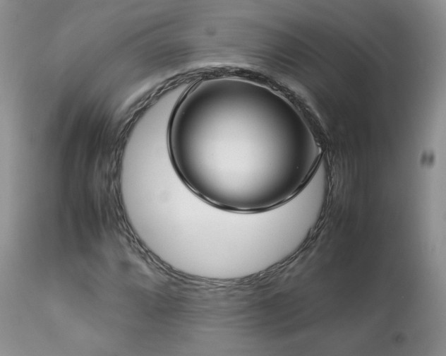 X0000112831064200908211211