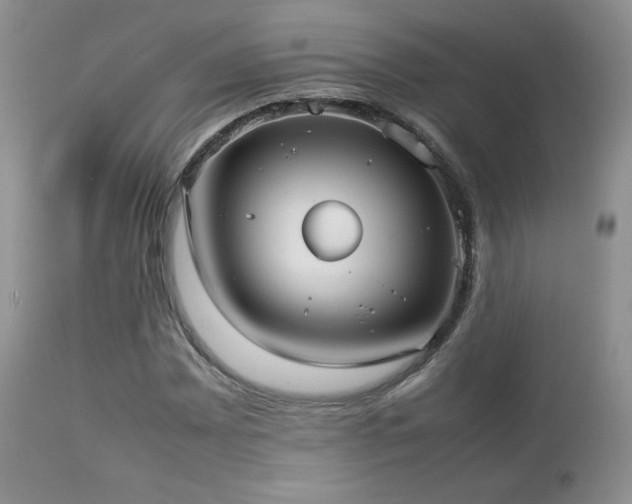 X0000112831065200908211211