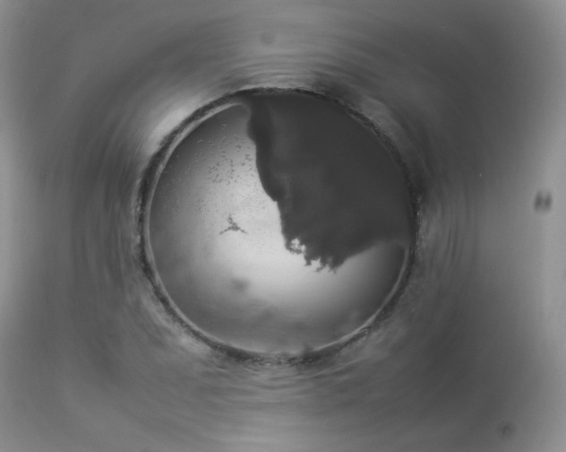 X0000112831071200908211211