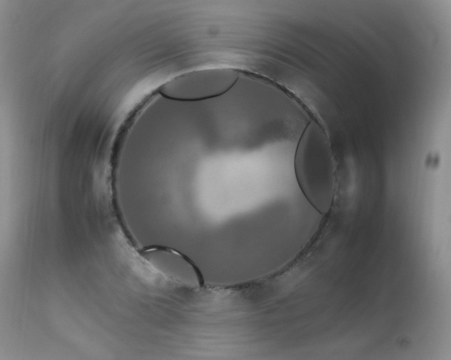 X0000112831072200908211211