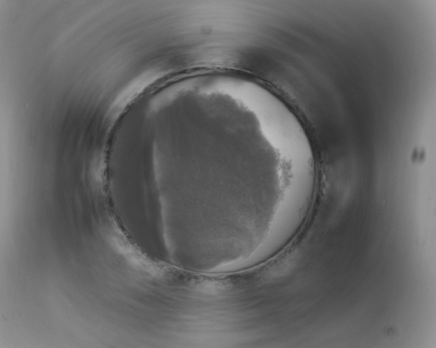 X0000112831074200908211211