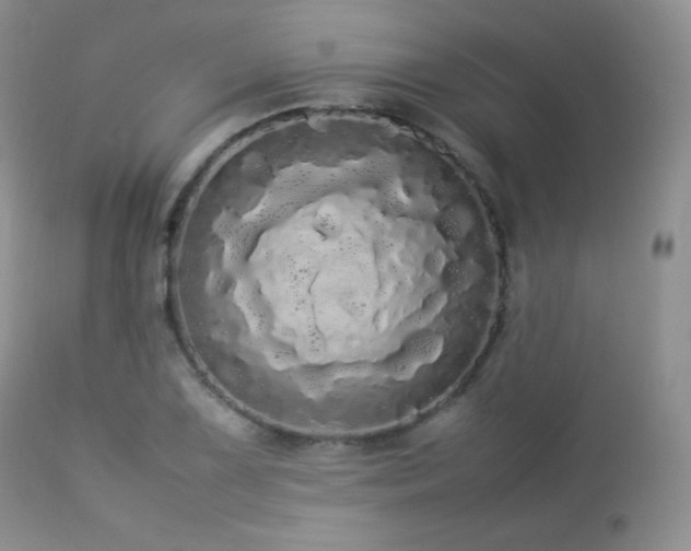 X0000112831075200908211211
