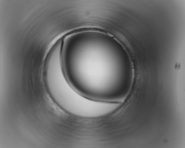 X0000112831076200908211211