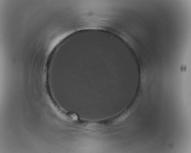 X0000112831077200908211211