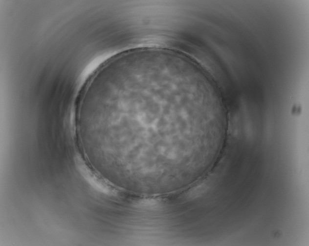 X0000112831078200908211211