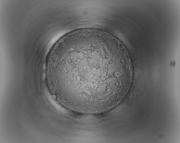 X0000112831079200908211211