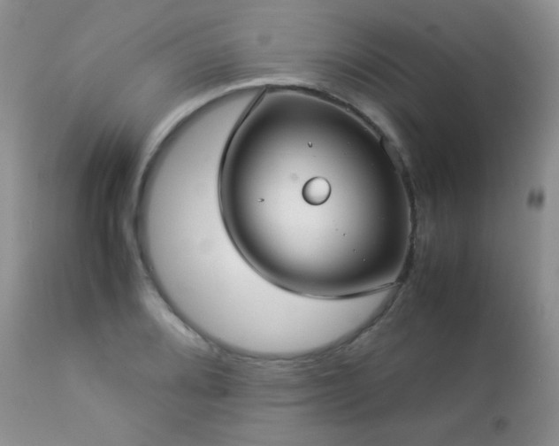 X0000112831080200908211211