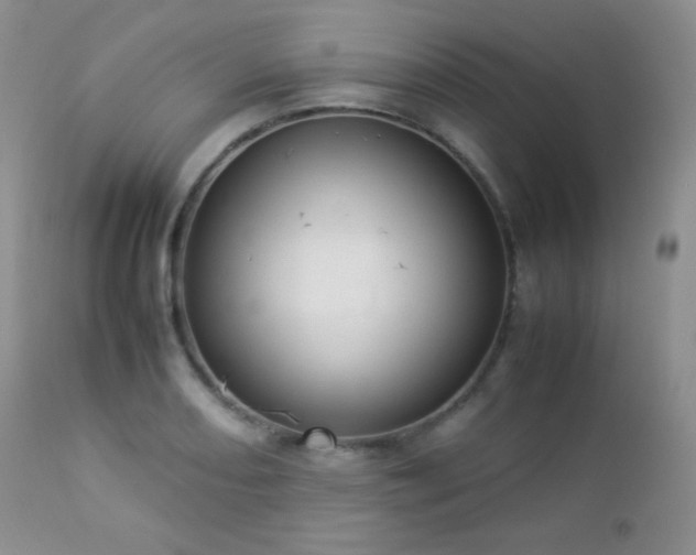 X0000112831082200908211211