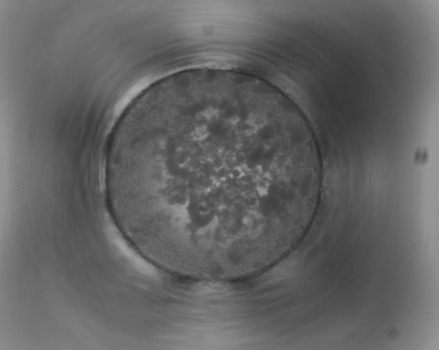 X0000112831083200908211211