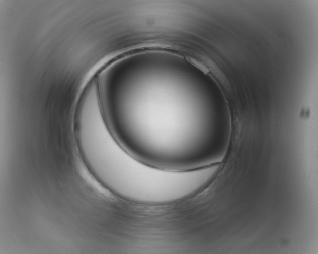 X0000112831084200908211211