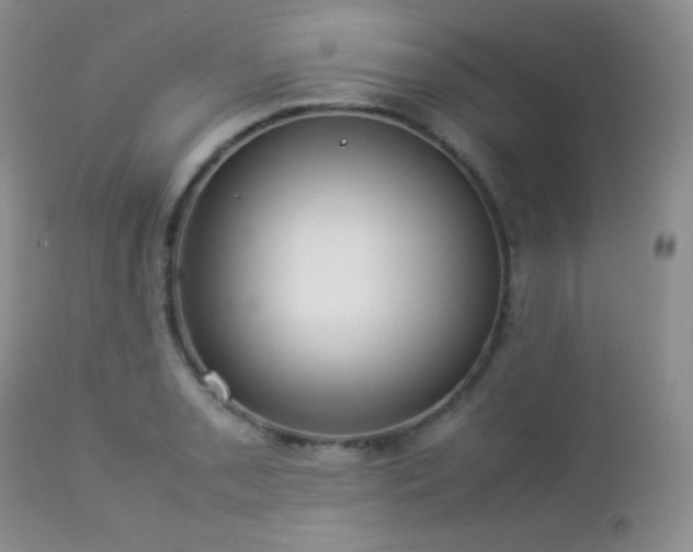 X0000112831085200908211211