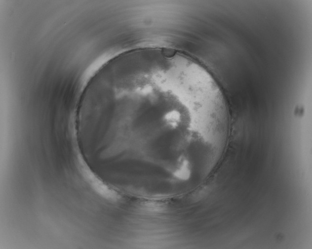 X0000112831086200908211211