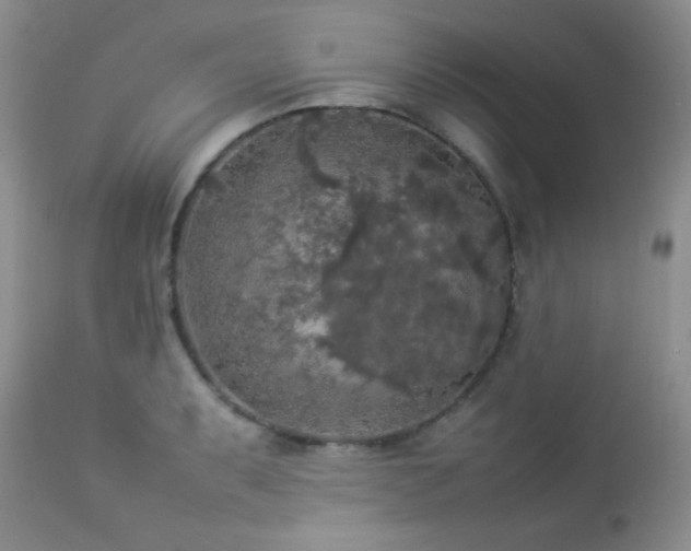 X0000112831087200908211211