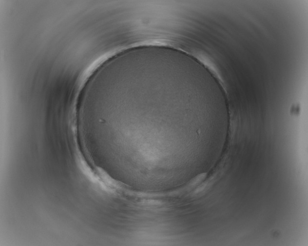 X0000112831088200908211211
