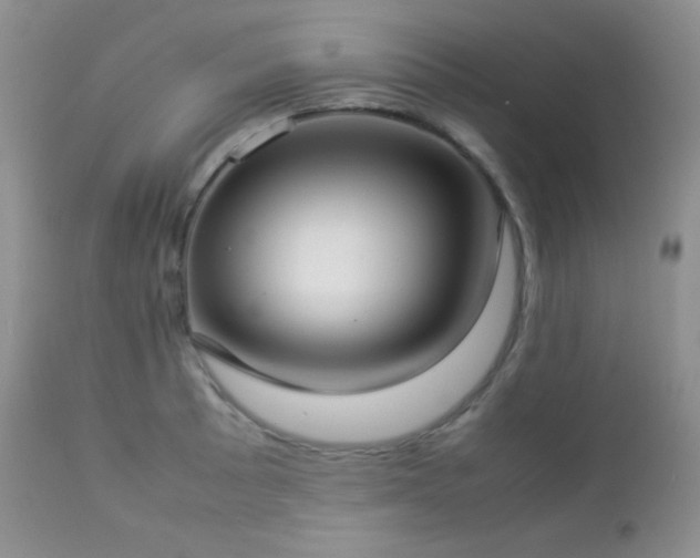 X0000112831089200908211211