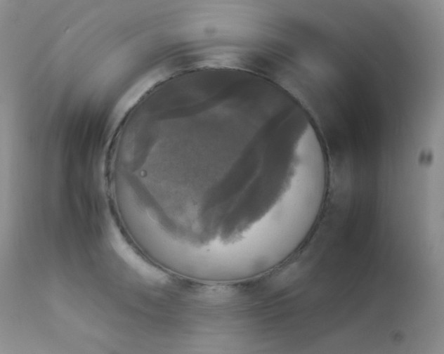 X0000112831090200908211211