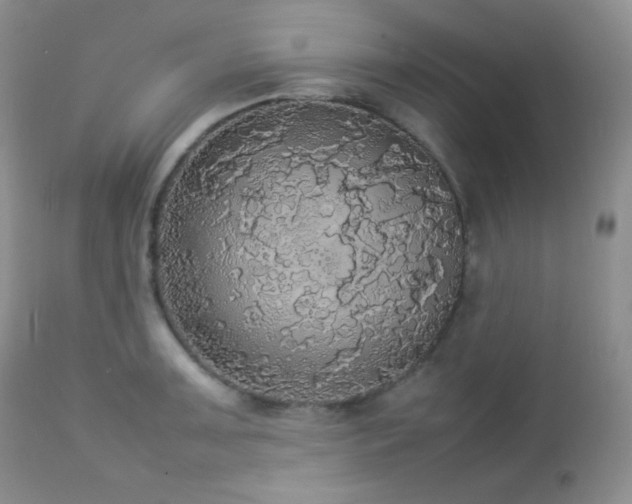 X0000112831091200908211211