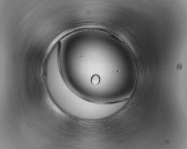 X0000112831092200908211211