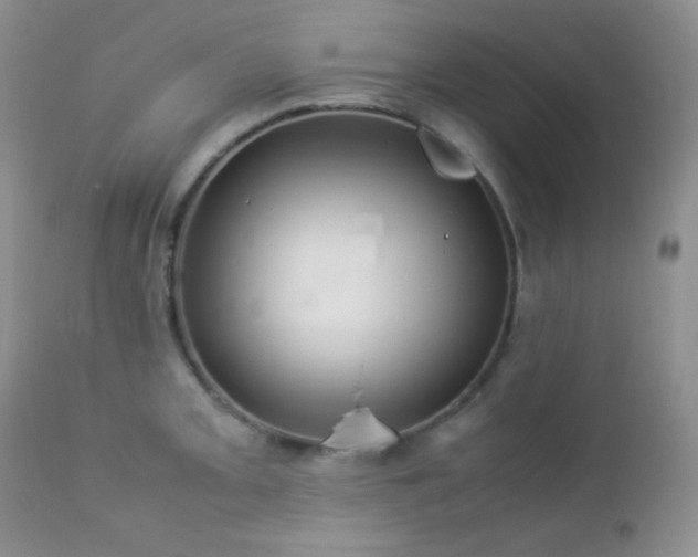 X0000112831093200908211211