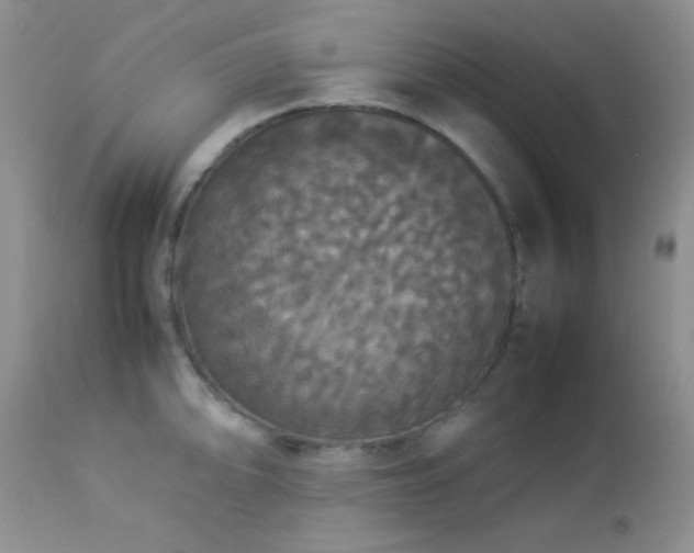 X0000112831094200908211211