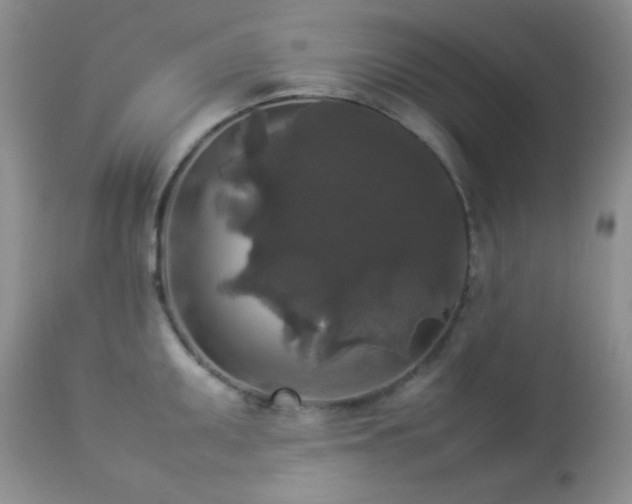 X0000112831095200908211211