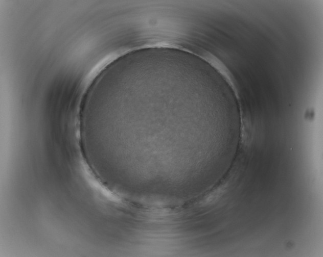 X0000112831096200908211211