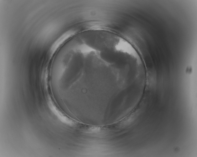 X0000112831098200908211211