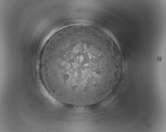 X0000112831099200908211211