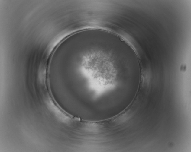 X0000112831100200908211211