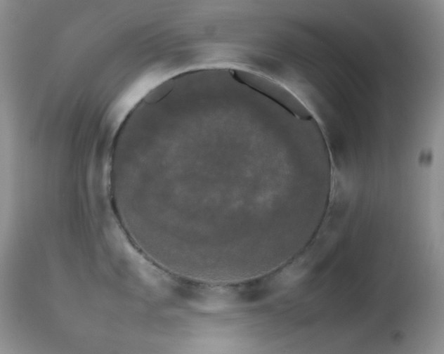 X0000112831101200908211211