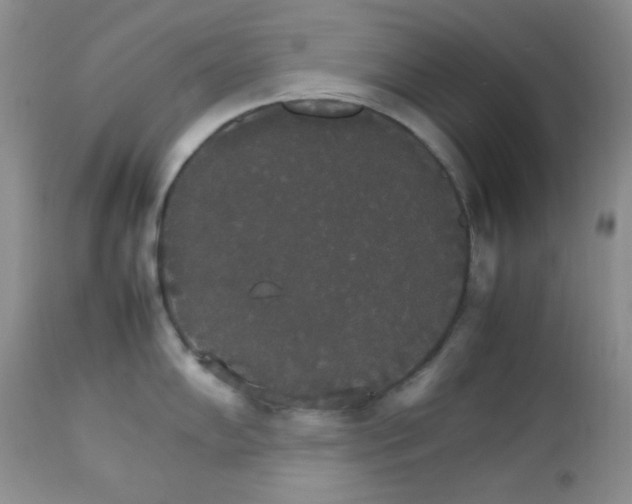 X0000112831102200908211211