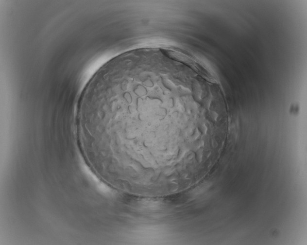 X0000112831103200908211211