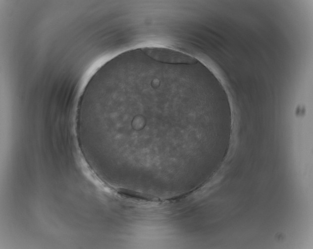 X0000112831104200908211211