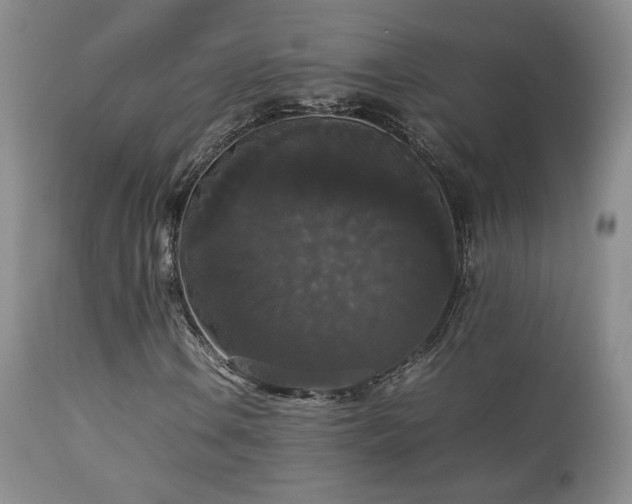 X0000112831106200908211210