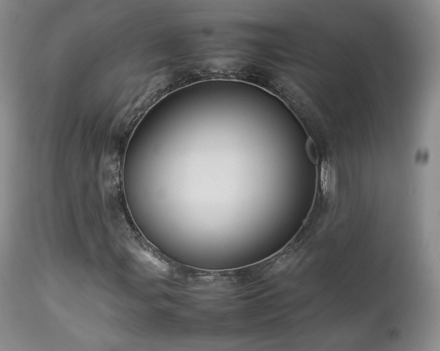 X0000112831107200908211210