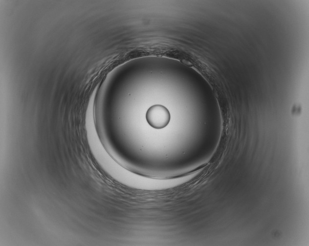 X0000112831108200908211210