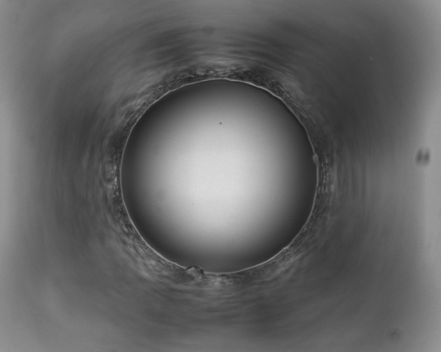 X0000112831109200908211210