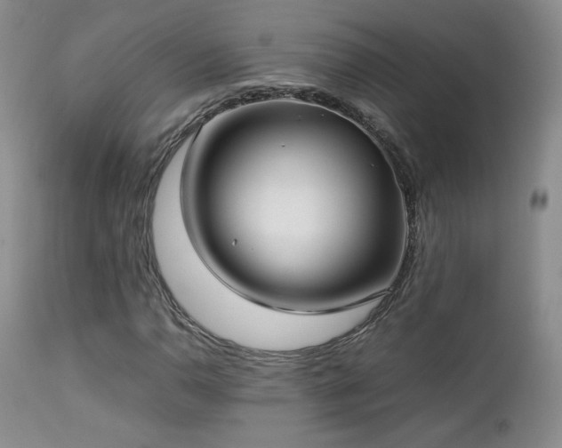 X0000112831110200908211210
