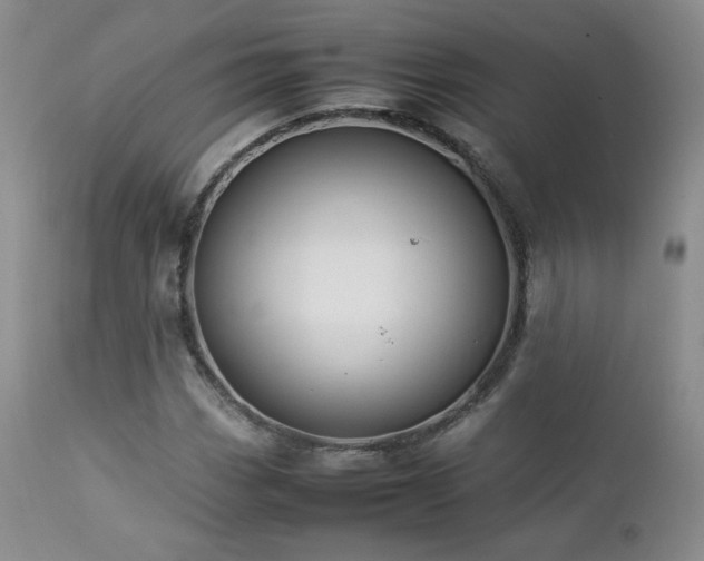 X0000112831113200908211210